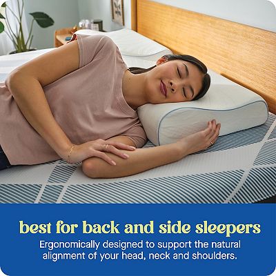 Sealy Dreamlife™ Contour Memory Foam Standard Pillow