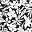 Black Havana Floral