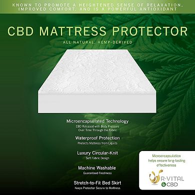 SensorPEDIC Mattress Protector With All Natural CBD Infused Cover