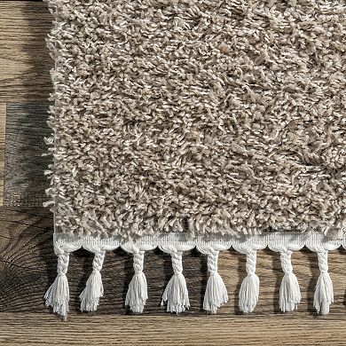 nuLOOM Neva Casual Plush Shag Rug