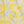 Yellow Lemon Check