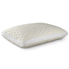 Miracle bamboo pillow kohls best sale