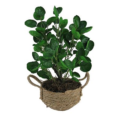 Sonoma Goods For Life® Oversized Artificial Greenery Basket