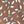 Allspice Floral Leaf