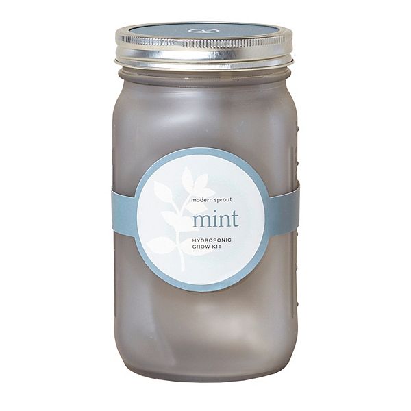 Modern Sprout Garden Jar (Mint)