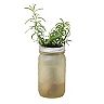 Modern Sprout Garden Jar - Rosemary