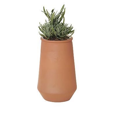 Modern Sprout Tapered Tumbler - Lavender