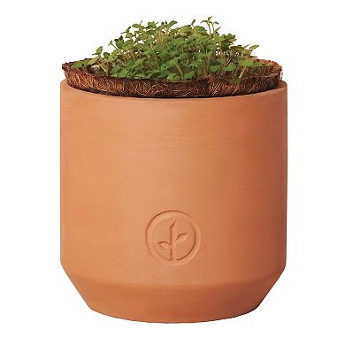Modern Sprout Tiny Terracotta - Good Luck Clover