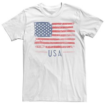 Big & Tall Freedom Flies Americana Tee