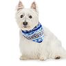 Pet Jammies For Your Families® Stay Cozy Bandana