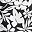 Black Havana Floral