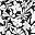 Black Havana Floral