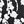 Black White Floral