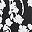 Black White Floral