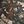 Tan Nature Camo
