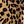 Tan Jana Leopard