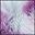 Purple Tie Dye