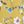 Carolina Floral Yellow
