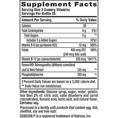 Vitafusion Brain Food Adult Gummy Vitamins