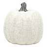 Celebrate Together™ Fall Crackle Finish Artificial Pumpkin Table Decor