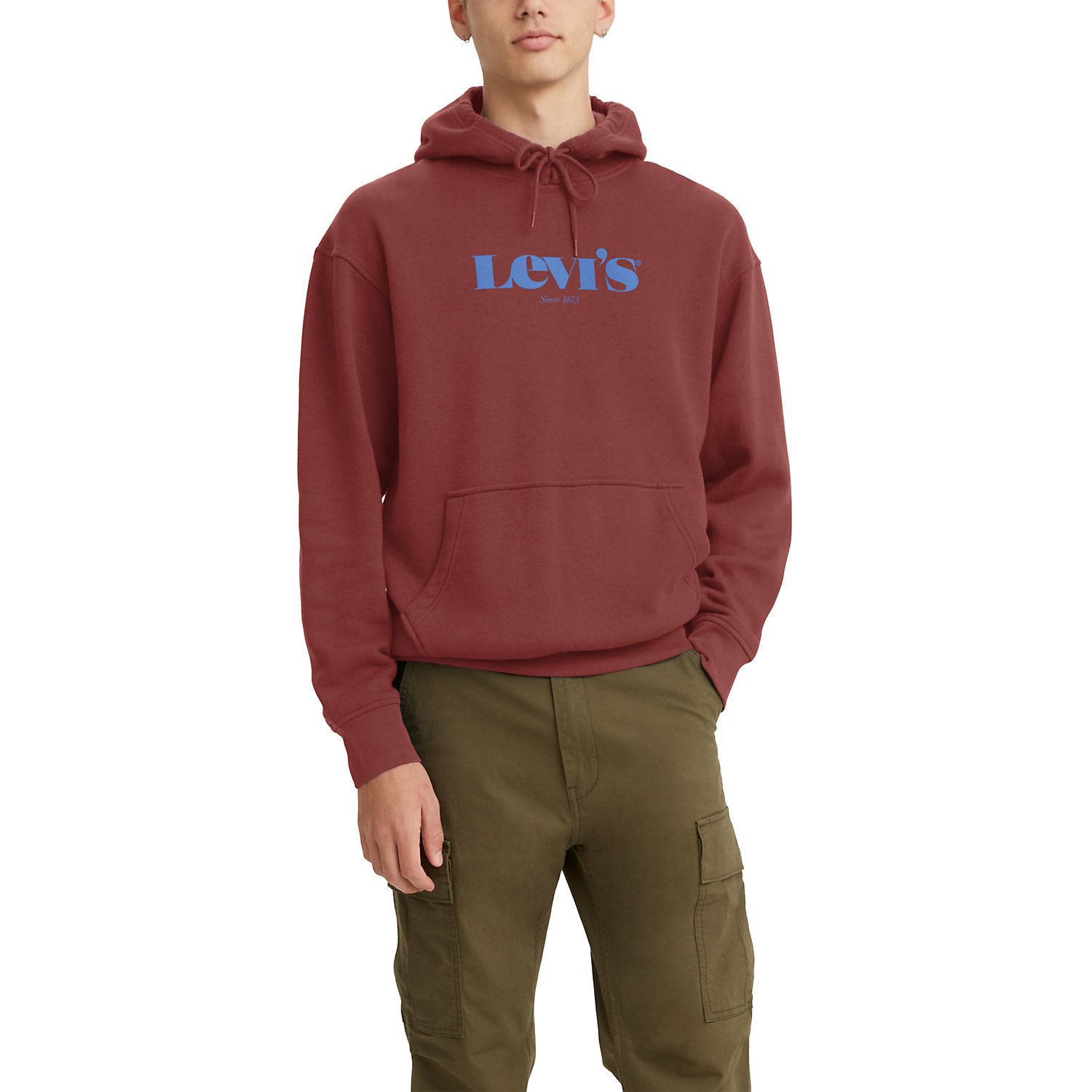 levi's relaxed hoodie