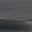 Oyster Gray