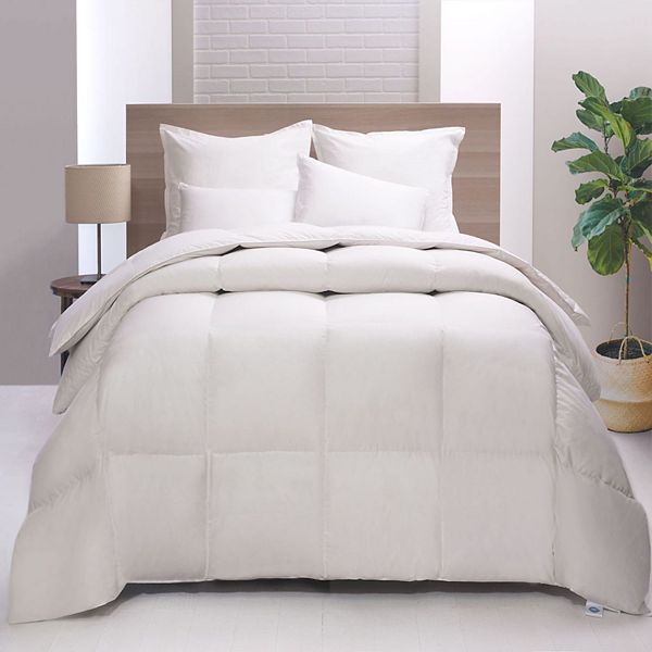 kohls twin down comforter