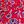 Strawberry Floral