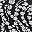 Black White Floral