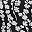Black White Floral