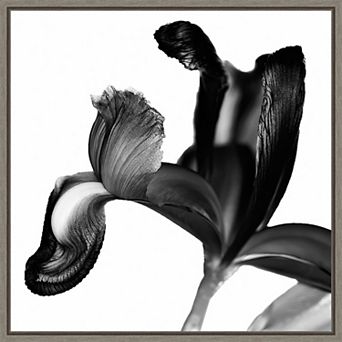 Amanti Art Iris I Black on White Framed Canvas Wall Art