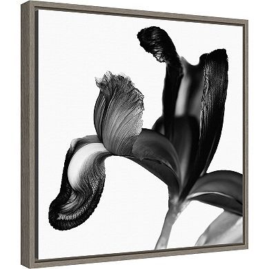 Amanti Art Iris I Black on White Framed Canvas Wall Art