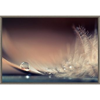 Amanti Art Stories Drops Feather Macro Canvas Wall Art
