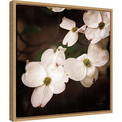 Amanti Art White Dogwood Flowers III Framed Canvas Wall Art
