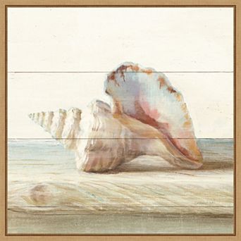 Amanti Art Driftwood Shell IV Framed Canvas Wall Art
