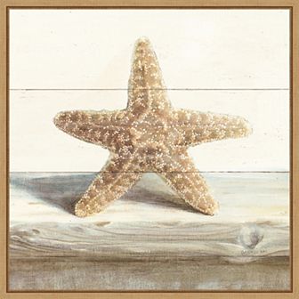 Amanti Art Driftwood Shell III Framed Canvas Wall Art