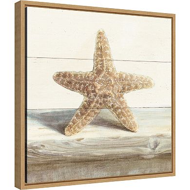 Amanti Art Driftwood Shell III Framed Canvas Wall Art