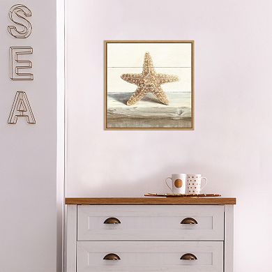 Amanti Art Driftwood Shell III Framed Canvas Wall Art