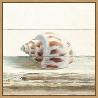 Amanti Art Driftwood Shell II Framed Canvas Wall Art