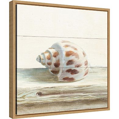 Amanti Art Driftwood Shell II Framed Canvas Wall Art