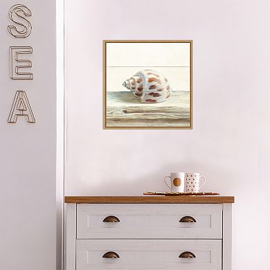 Amanti Art Driftwood Shell II Framed Canvas Wall Art