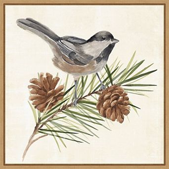 Amanti Art Bird on Pine Branch I Framed Canvas Wall Art