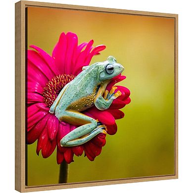 Amanti Art Pretty Frog on Pink Flower Framed Canvas Wall Art