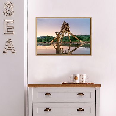 Amanti Art Sunset Giraffe Drinking Framed Canvas Wall Art