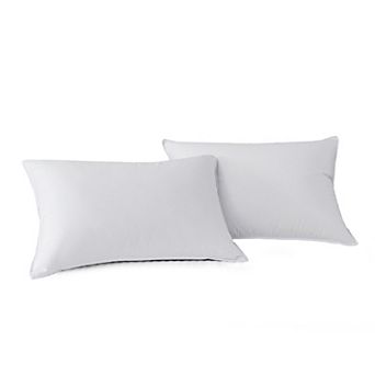 Kathy Ireland 2-pack Tencel Pillows