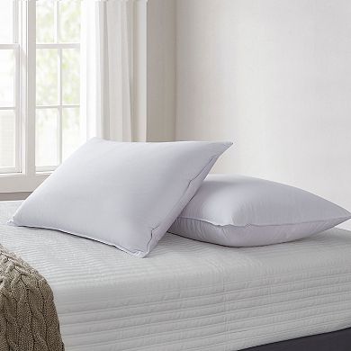 Kathy Ireland 2-pack Tencel Pillows