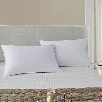 Kathy Ireland 2-pack Tencel Pillows