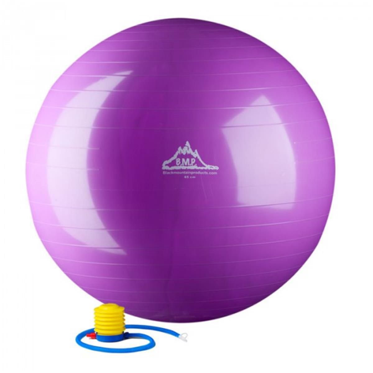 Image for HWR 55 cm. Static Strength Exercise Stability Ball, Purple at Kohl's.