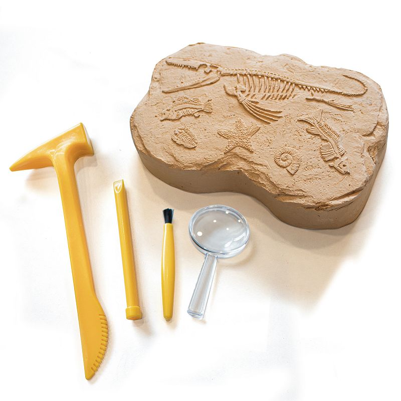 Educational Insights GeoSafari Fossil Excavation Kit, Multicolor