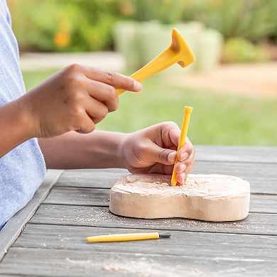 Educational Insights GeoSafari Fossil Excavation Kit